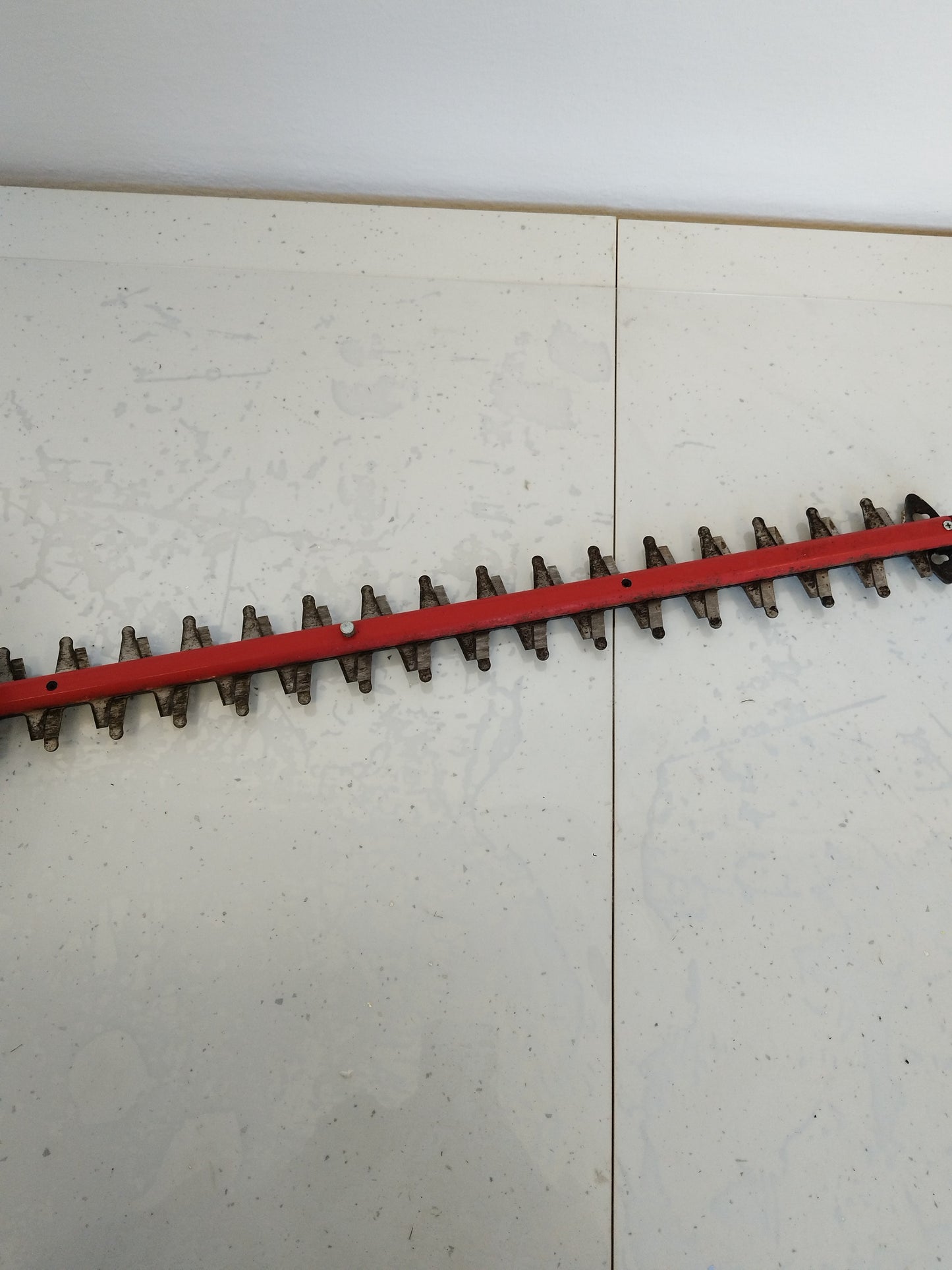 6ab0bea98118bf1a3b328ddb3e7b6a21